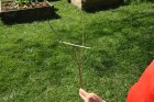 CrecelleDeCardere_img_7817.jpg