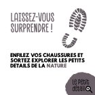 escargot_senestre4.jpg