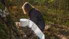 peutonfairecacadanslaforet1.jpg