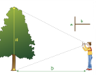 Capture_decran_20241015_a_14.21.55.png