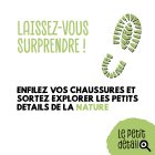 pourriture_cubique4.jpg