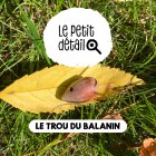 Trou_du_balanin_.jpg