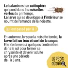 Trou_du_balanin_2.jpg